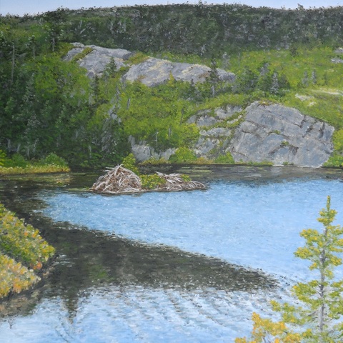 "Beaver Lodge"
16 in. by 20 in.
Oil on canvas
CAD$500
From Deadmans Bay Path